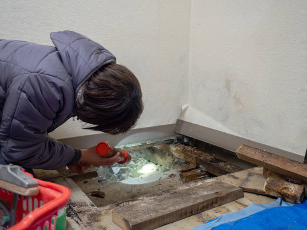 Best Residential Mold Inspection & Testing  in Kendall Park, NJ