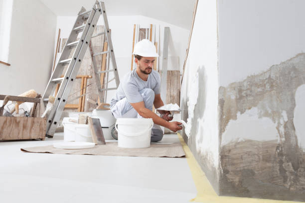 Reliable Kendall Park, NJ Mold Removal Solutions