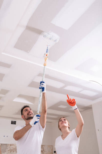 Mold Removal for HVAC Installations in Kendall Park, NJ