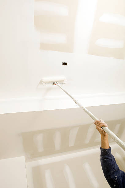 Best Mold Documentation for Insurance Claims  in Kendall Park, NJ