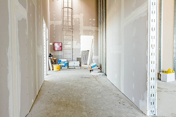 Best Biohazard Mold Removal  in Kendall Park, NJ