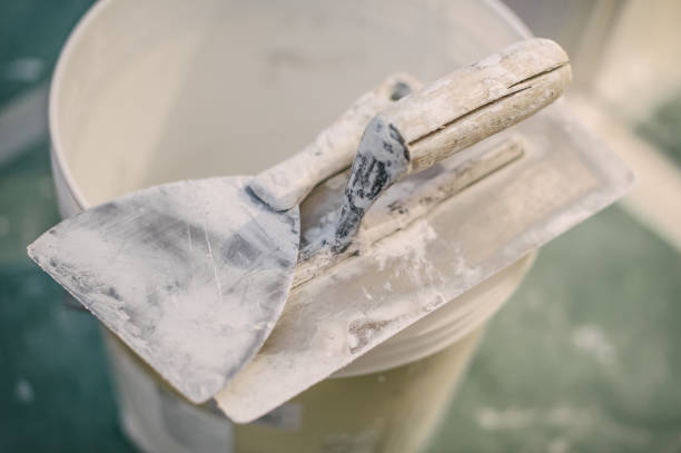 Best Basement Mold Removal  in Kendall Park, NJ