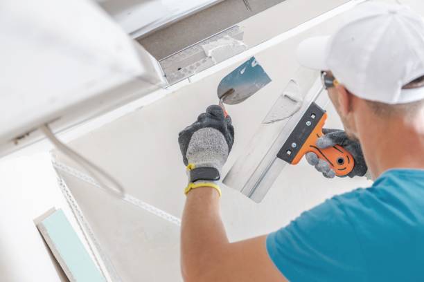 Best Mold Remediation for Rental Properties  in Kendall Park, NJ